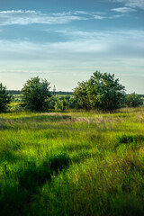 Hills on the quarry, one day in the summer . Beautiful landscape. Blue sky . Nature , woods and hills 