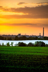 Fototapeta premium Sunset over the quarry . Golden sunset over the woods . Mystey clouds . Sun over horizon . 