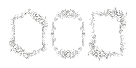 Hand Drawn Daisy Flower Frame Background