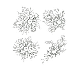 Hand Drawn Daisy Flower Frame Background