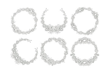 Hand Drawn Daisy Flower Frame Background