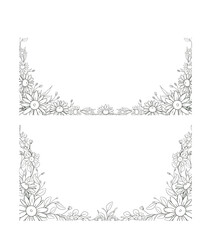Hand Drawn Daisy Flower Frame Background