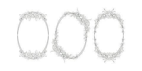Hand Drawn Daisy Flower Frame Background