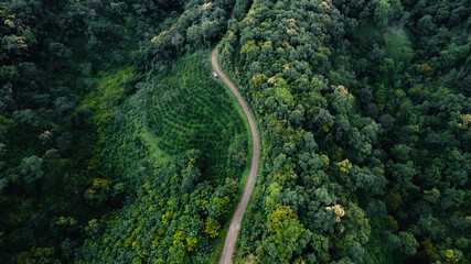 Raod green,Aerial top view beautiful curve road on green forest in the rain season