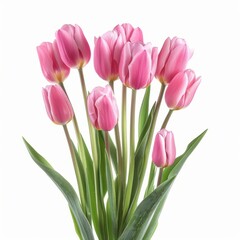 Pink Tulips Arranged in Vase