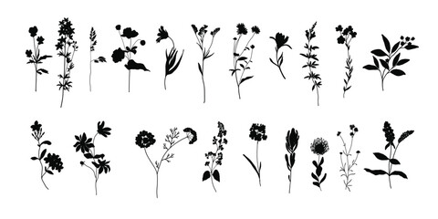 Isolate black and white Flower clipart triptych vector element with Wildflower and leaf hand drawn. Botanical illustration minimal style.
