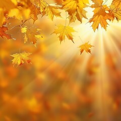 Sun Shining Through Leaves of Tree