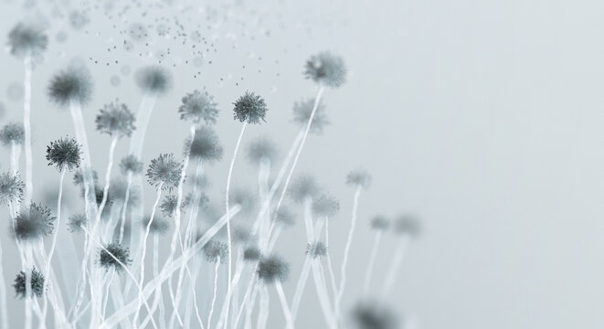 Mold spores thrive in damp, humid environments, causing decay, health risks. Visible mold colonies growth signals. Toxic black mold contamination, fungi allergens pose allergies, asthma. 3D macro