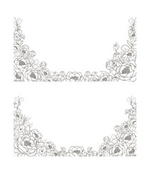 Hand Drawn Peony Flower Frame Background