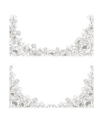 Hand Drawn Peony Flower Frame Background