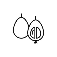half cut loquat icon logo sign vector outline