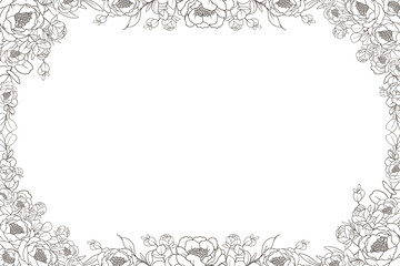 Hand Drawn Peony Flower Frame Background