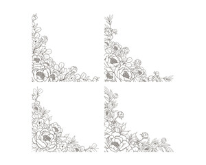 Hand Drawn Peony Flower Frame Background