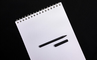 Ein schwarzer Stift liegt auf einem Papier. Mit Platz für eine Notiz.