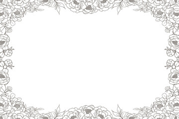 Hand Drawn Peony Flower Frame Background