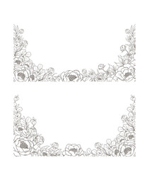 Hand Drawn Peony Flower Frame Background