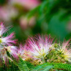 梅雨のど真ん中
