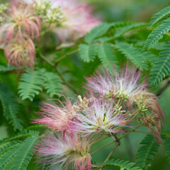 梅雨のど真ん中