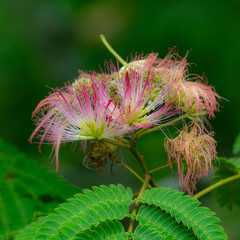 梅雨のど真ん中