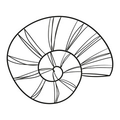 Black and white illustration of a sea snail, clipart, coloring page