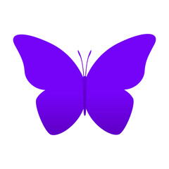 Gradient Butterfly Illustration Design Top View
