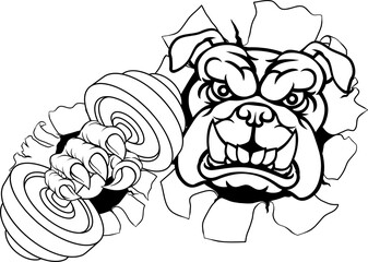 Bulldog Dog Weight Lifting Dumbbell Gym Mascot