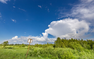 A wooden signpost stands alone in a field of tall grass under a bright blue sky with puffy clouds....