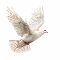 Obraz premium A white bird with red feet flies in the air