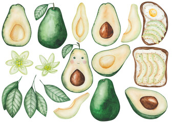 Avocado set. Watercolor illustration. Hand painted green avocado, whole, cut in half with brown seed, leaves, flowers. Avocado toast with boiled egg. Avocado tree, plant. Isolated food clip art