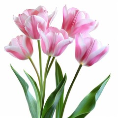 Pink Flowers Arranged in a Vase