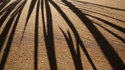 aesthetic palm leaf on shadow on sand background texture sand