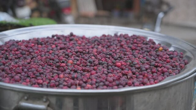 Phalsa, falsa, faalsa fruit