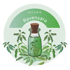 ラベンサラとラベンサラの精油瓶・芳香植物・アロマ・精油