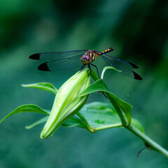 梅雨のど真ん中