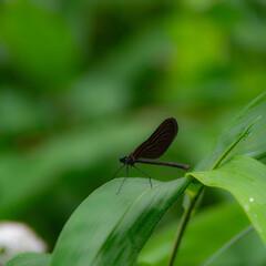 梅雨のど真ん中