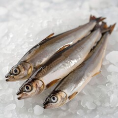 Three Fish Sitting on Top of a Pile of Ice