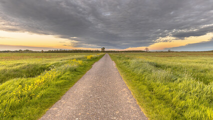 Polder landscape with flowers Netherlands