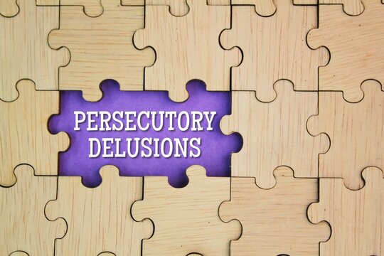 wooden puzzle with the word persecutory delusions