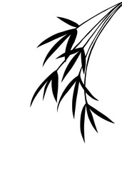 Obraz premium Black natural leaf bamboo shadow element for decoration. On isolate background. 