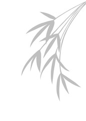 Obraz premium Gray natural leaf bamboo shadow element for decoration. On isolate background. 