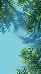 Fototapeta premium Palm tree leaf backgrounds outdoors.