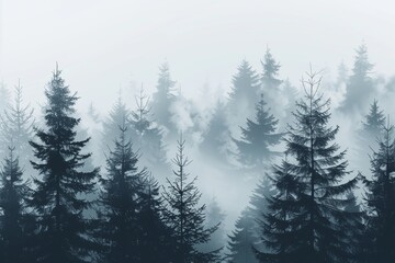 A foggy monochrome pine forest, illustrated in a flat style, tall trees shrouded in mist, varying