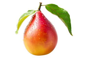 Ripe mango with green leaves and water drops isolated on white transparent background, colorful, organic, exotic, and delicious.