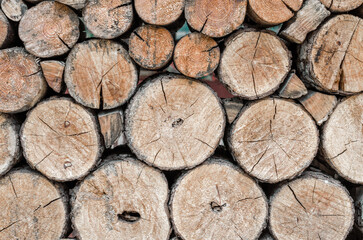many wooden logs trunks close up