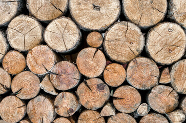 many wooden logs trunks close up