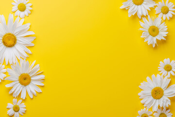 Various chamomile flowers on a colorful background