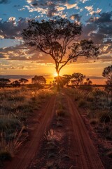 A photo of the sun setting behind trees along a dirt road, with a warm glow and long shadows