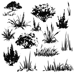 Grass and bush sketches. Vector