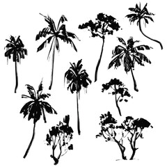 Palm tree sketches. Vector