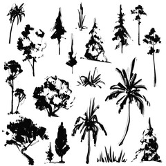 Various trees and plants sketches. Vector